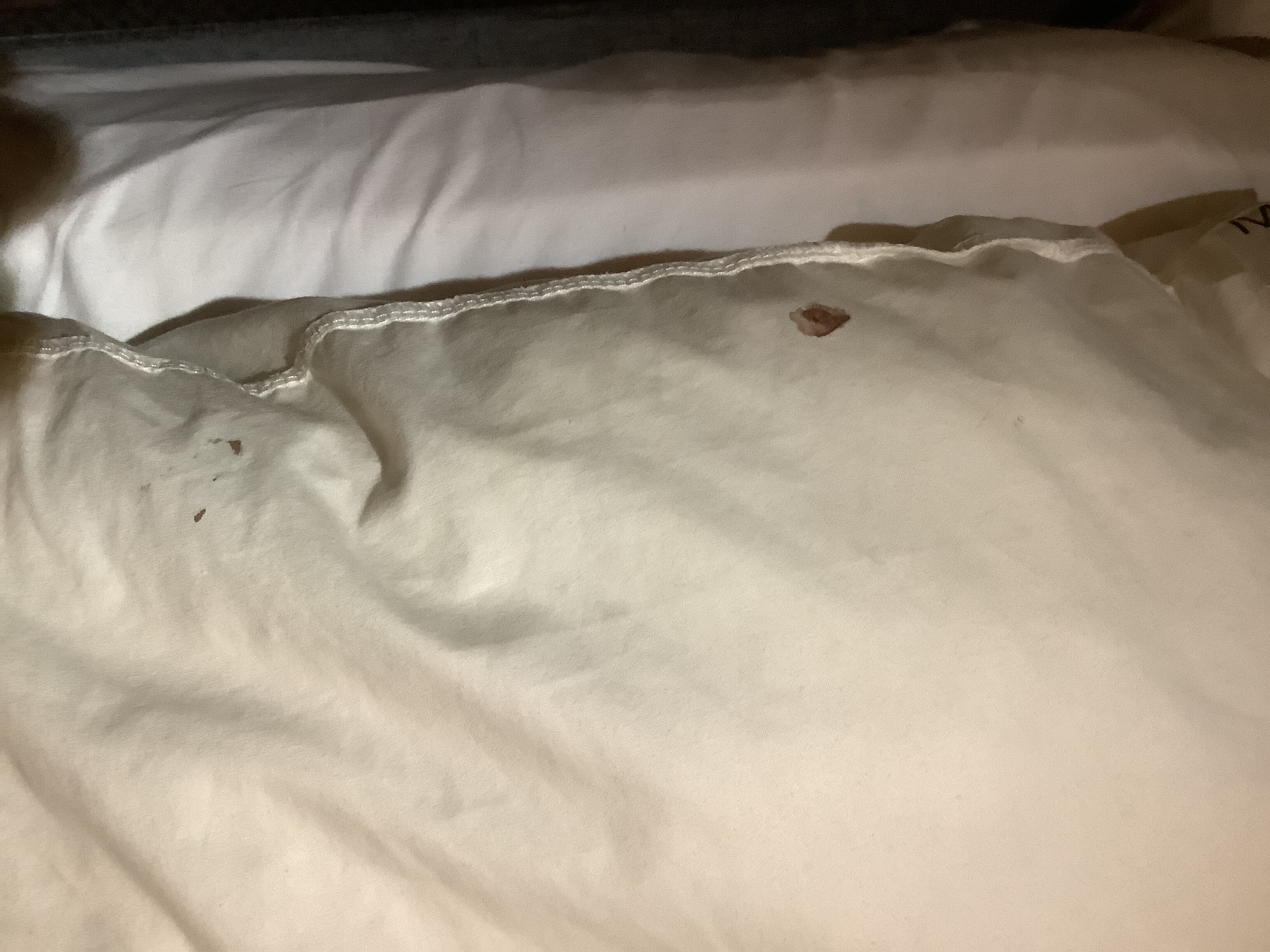 桑顿大厅酒店&SPA-客卧