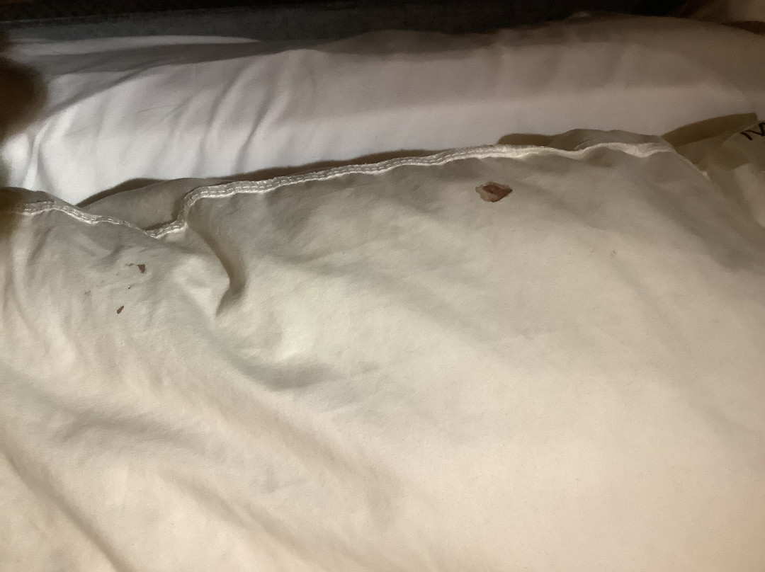 桑顿大厅酒店&SPA主图