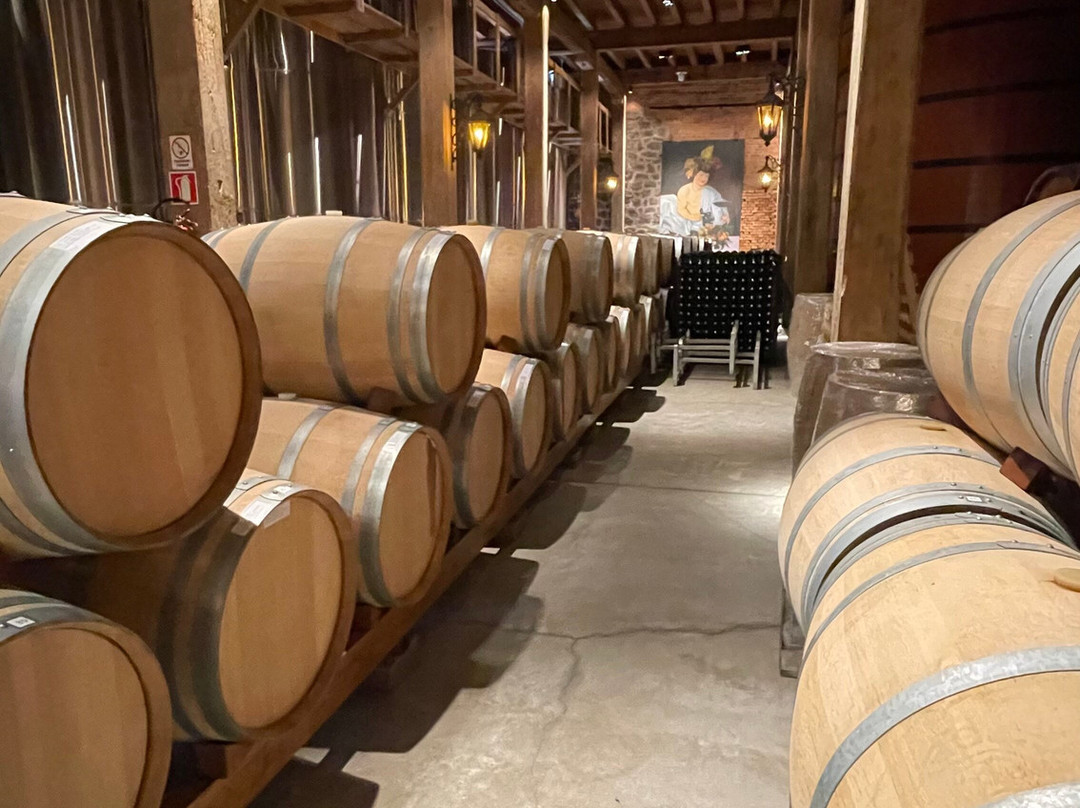 Vinícola Salvattore-Flores Da Cunha必去景点