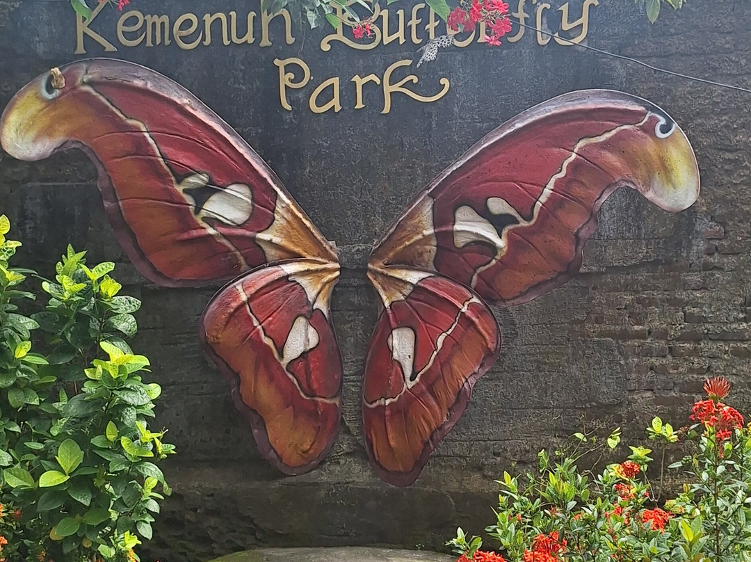 Kirani Bali Tour-罗威那海滩必去景点