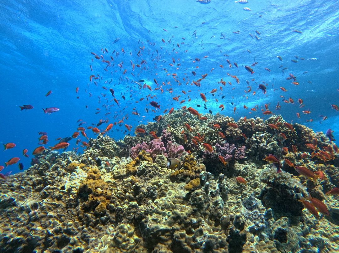 Aqua-Trek-太平洋港必去景点