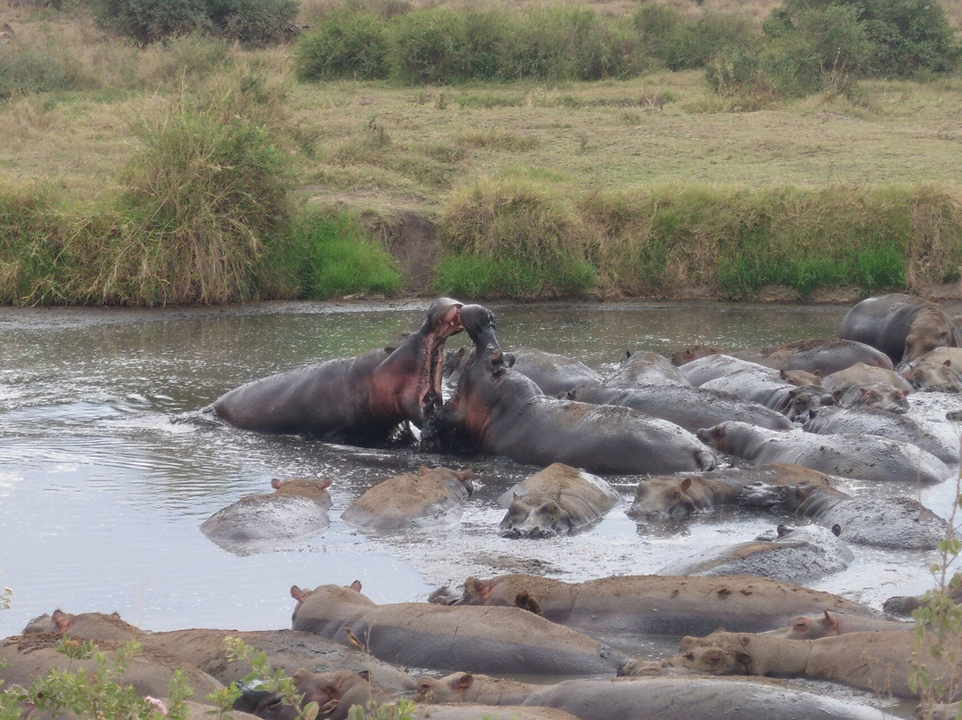 Caracal Tours & Safaris-莫西必去景点