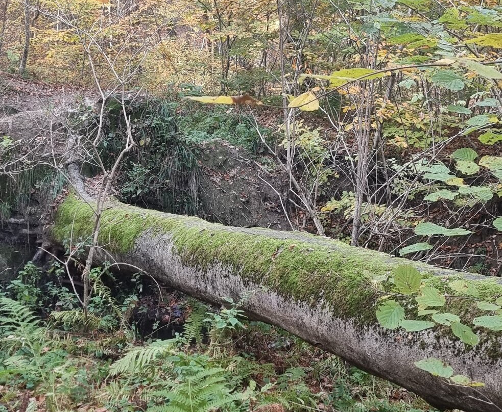Zerkalo Rock-Goryachy Klyuch必去景点