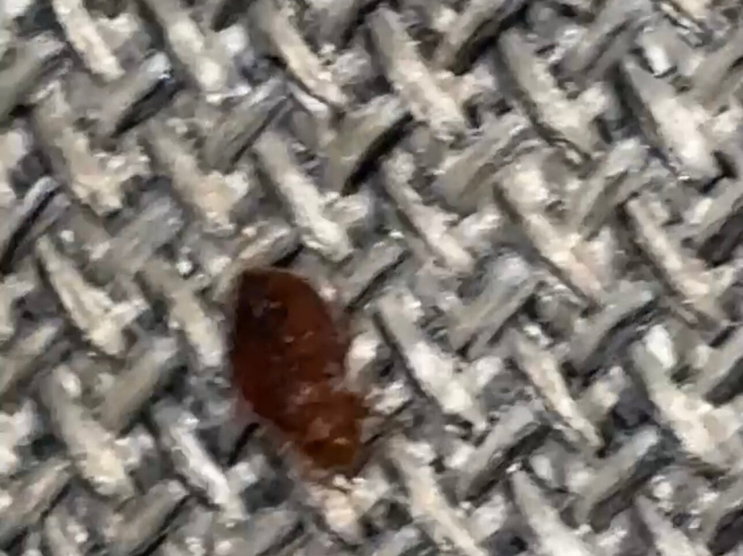 DoubleTree by Hilton Lubbock University Area主图