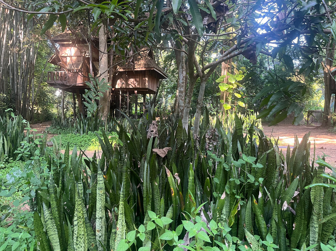 拉比昂帕萨克树屋度假村主图