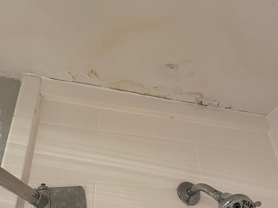 Comfort Inn Alton near I-255主图