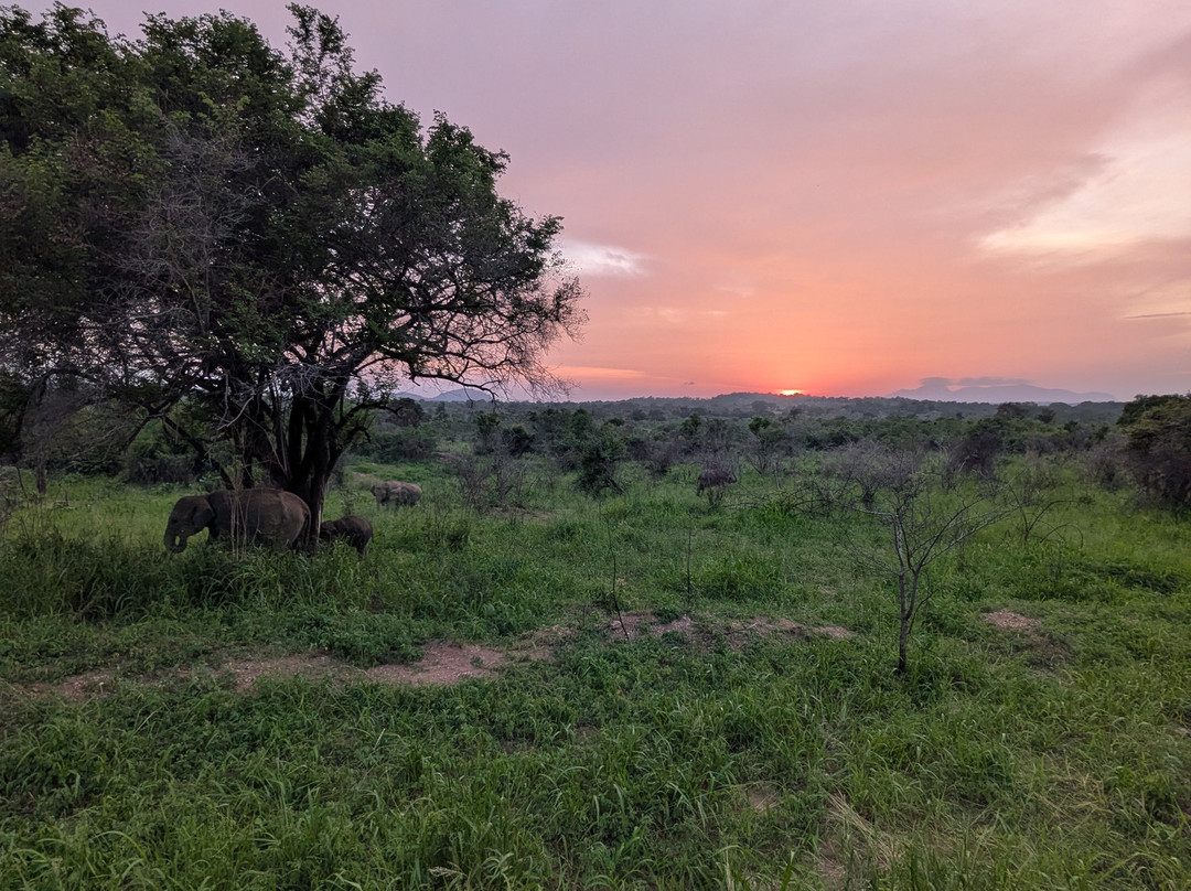 Safari With Asanka-锡吉里亚必去景点