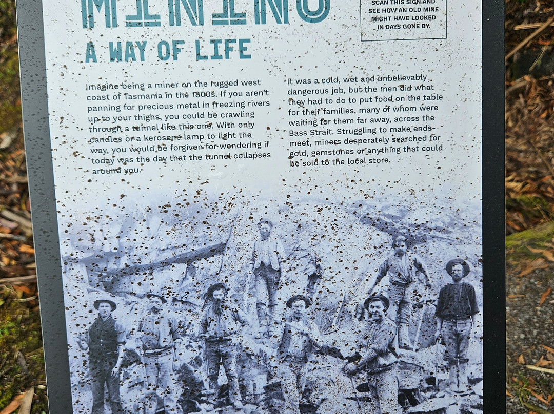 West Coast Wilderness Railway-皇后镇必去景点