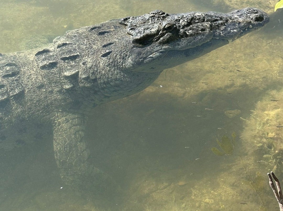 Blue Caribe-艾库玛尔必去景点