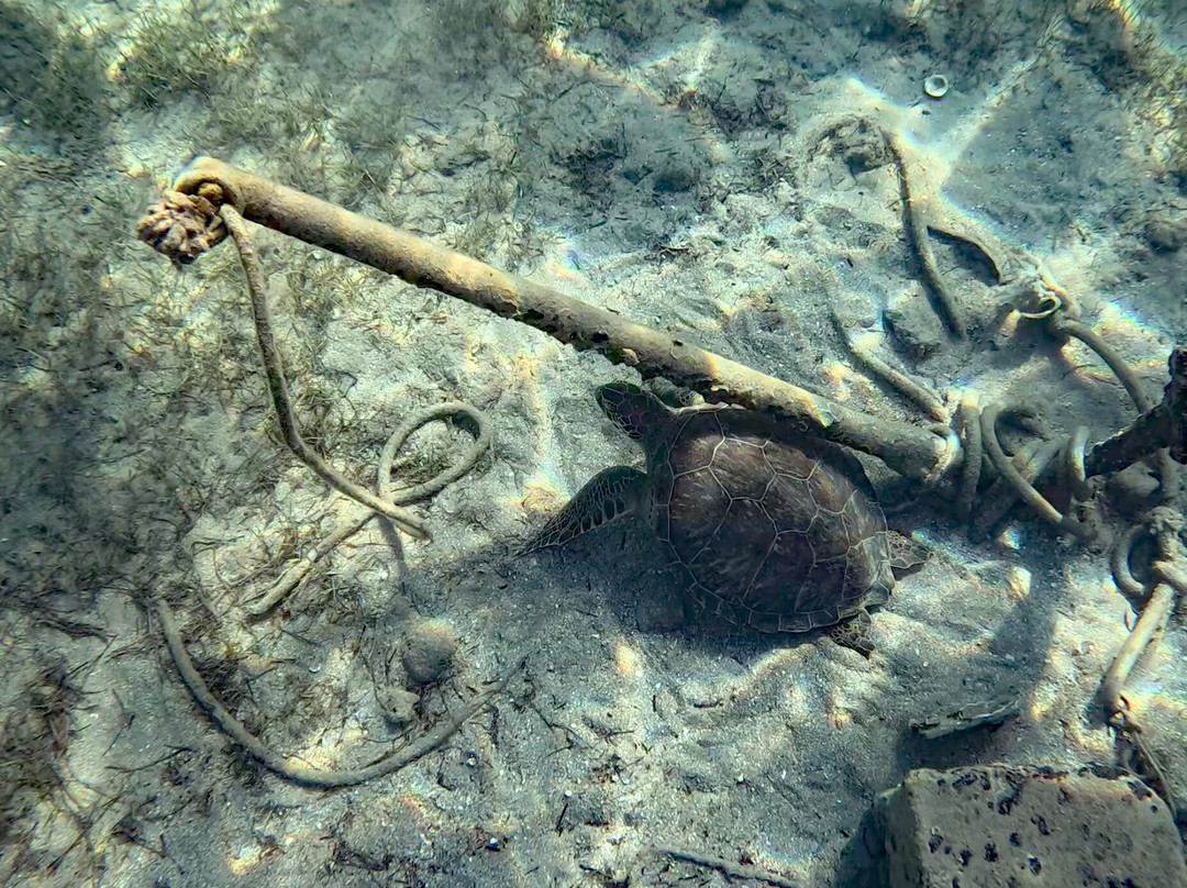 The Sunken City - Ancient Epidaurus-埃皮达鲁斯必去景点