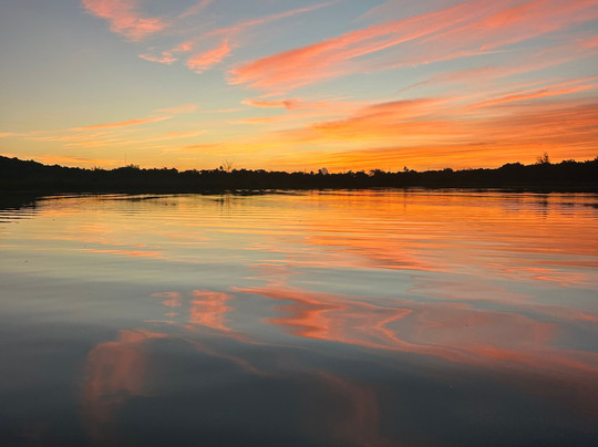 Peacock Bass and Tarpon Tours-圣胡安必去景点