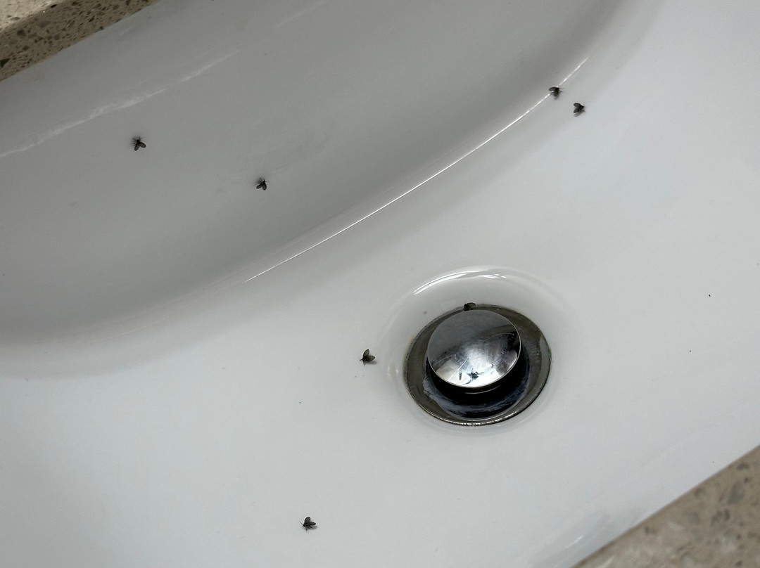 Comfort Inn Airport West主图