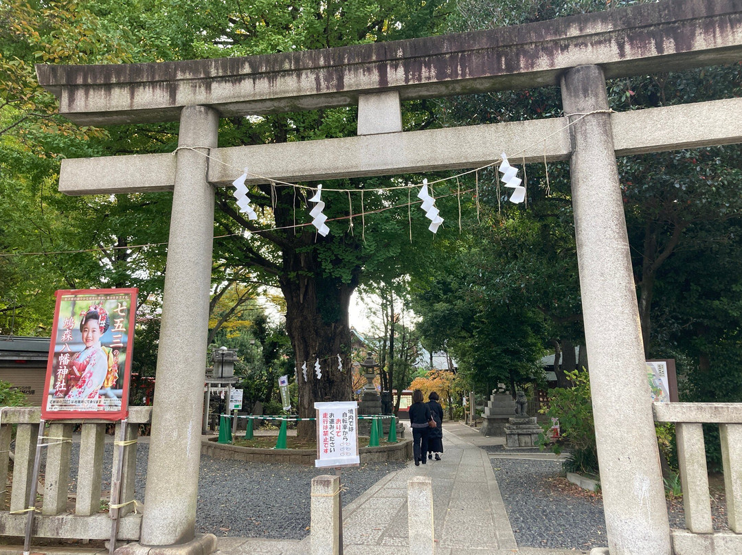 Hatomori Hachiman Shrine-Sendagaya必去景点