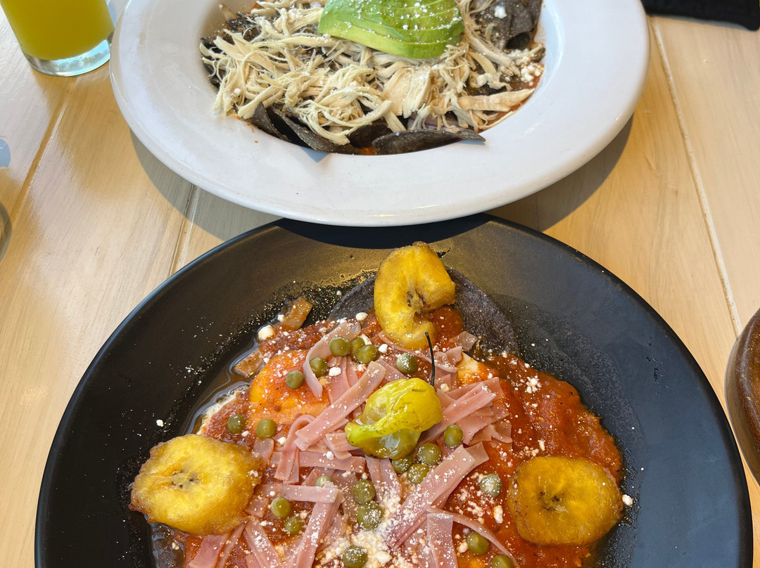 Hotel Scappata主图