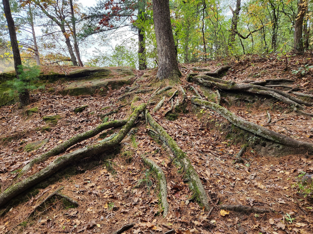 Stewart Lake County Park-Mount Horeb必去景点