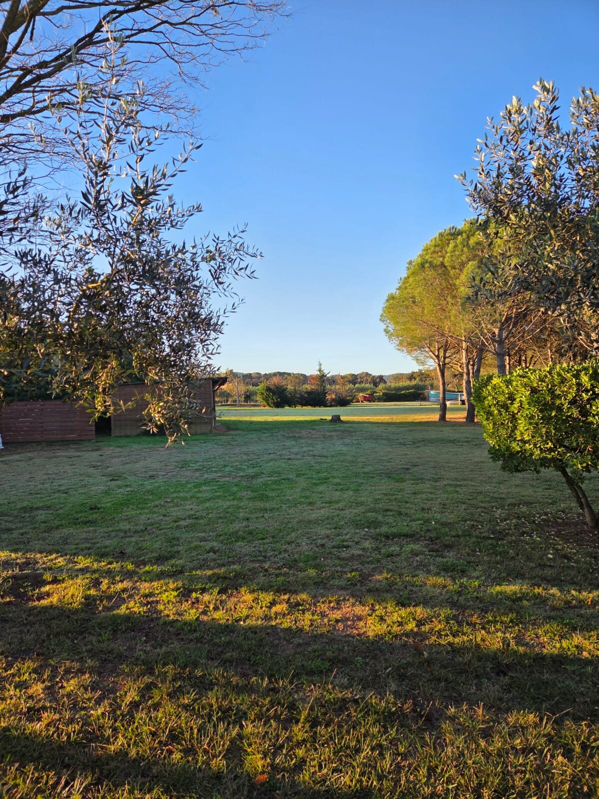 Hotel Mas Rabiol-官方