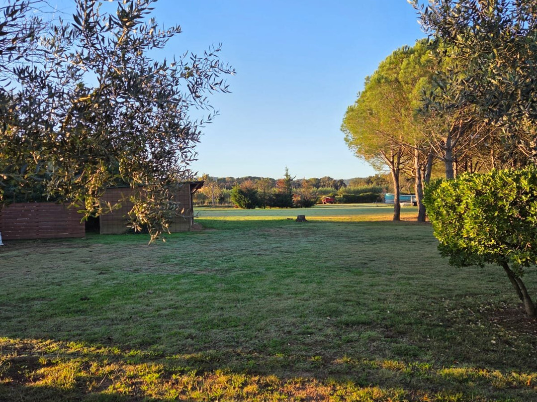 Hotel Mas Rabiol主图