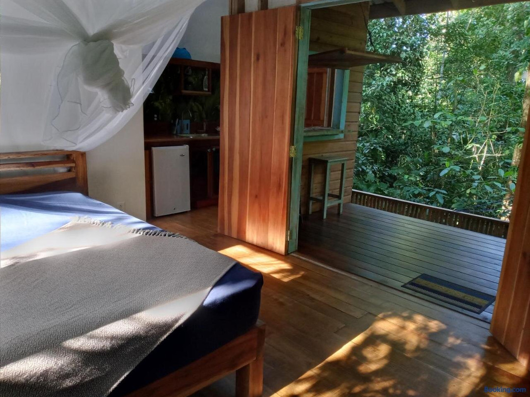Jungle Paunch Cabins