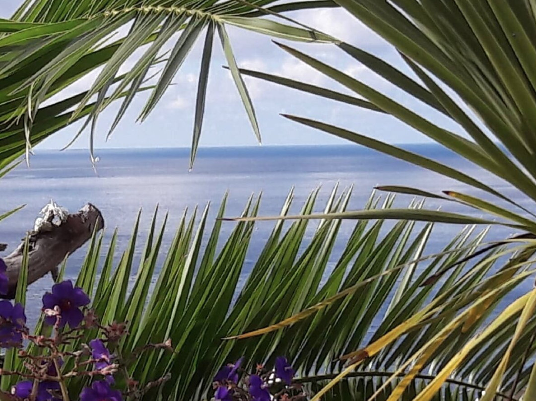 Bed and Breakfast Miradouro da Papalva Guest House INN ID No. #1229主图