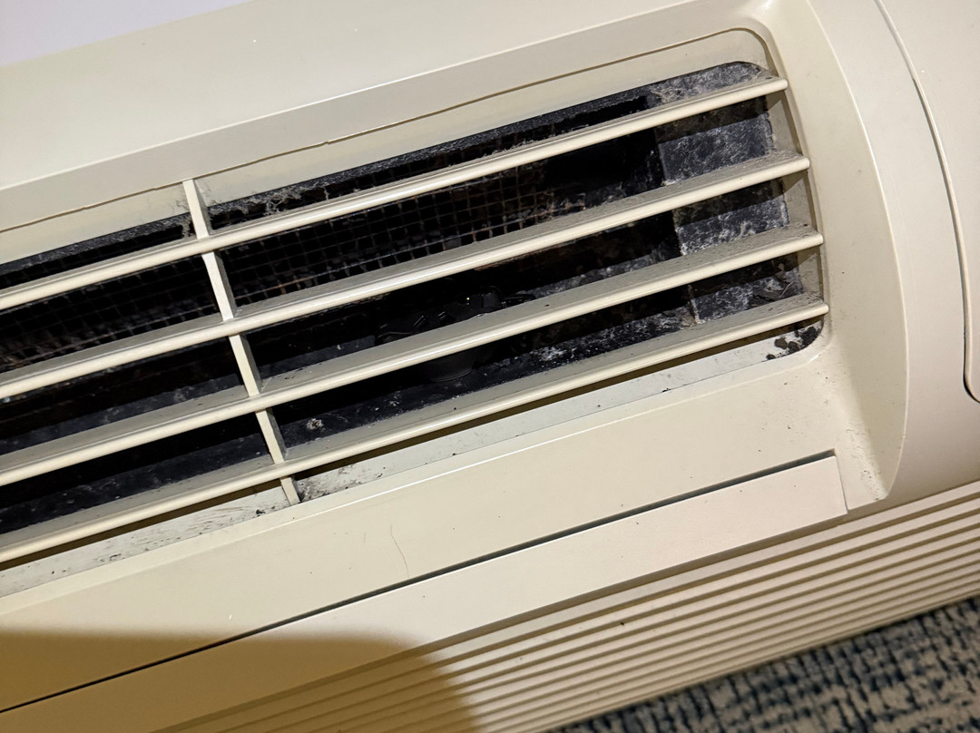 Wingate by Wyndham Hattiesburg主图