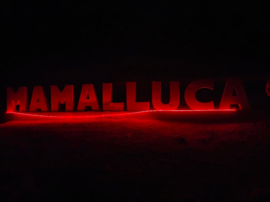 Mamalluca Observatory-Vicuna必去景点