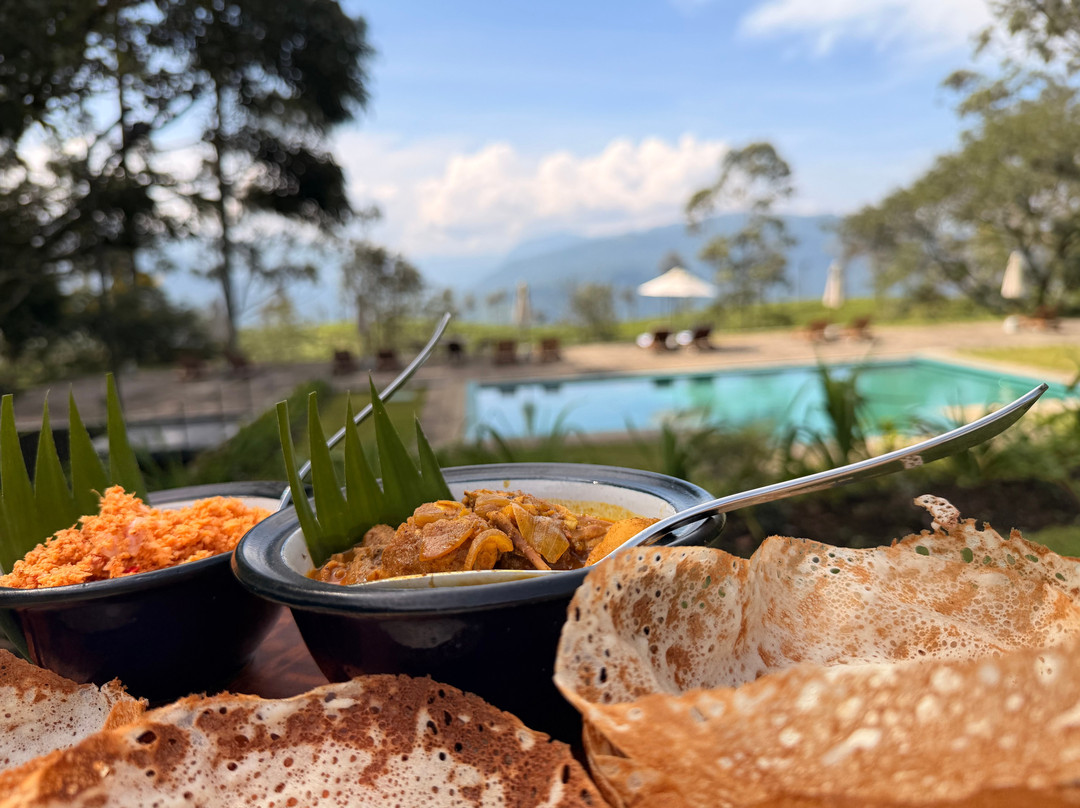 The Lavender House By Reveal主图