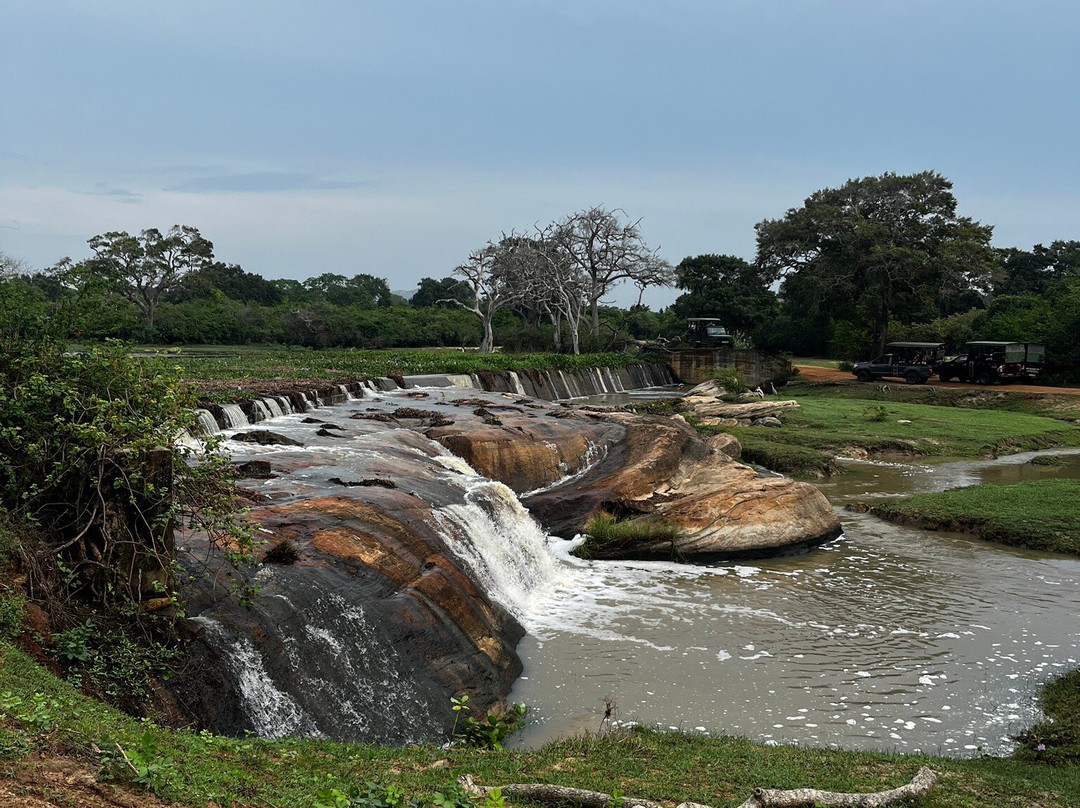 My Driver Sri Lanka-卡图纳耶克必去景点