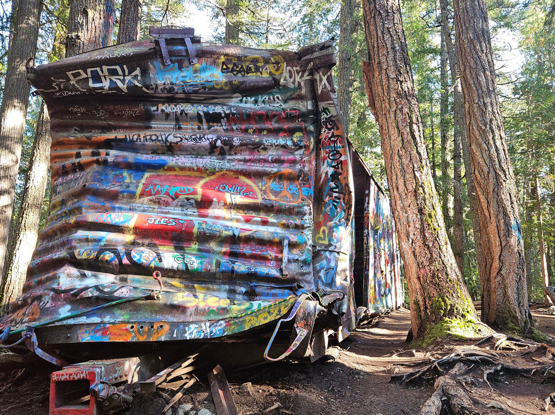 The Whistler Train Wreck Trail-惠斯勒必去景点