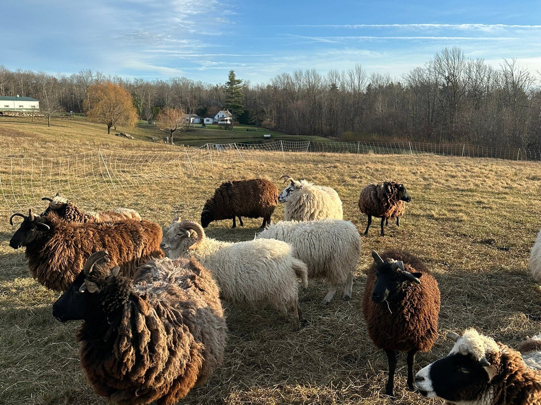 Norbrook Farm Brewery-Colebrook必去景点