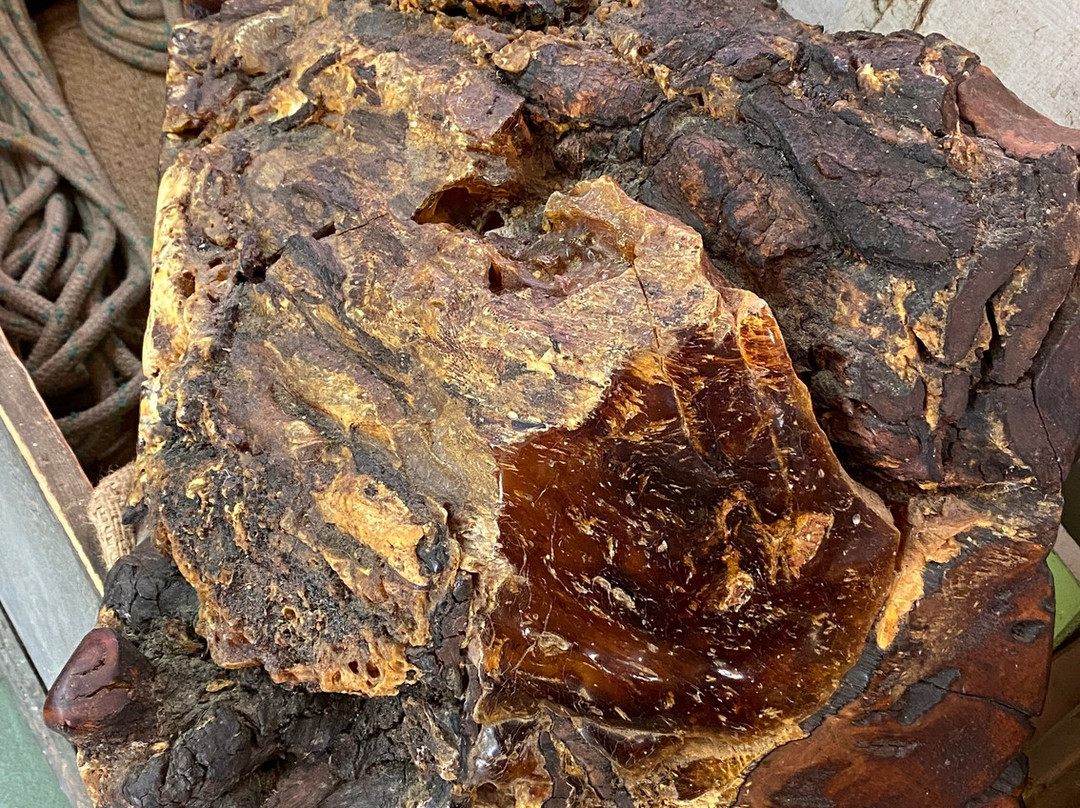 Gumdiggers Park-Awanui必去景点