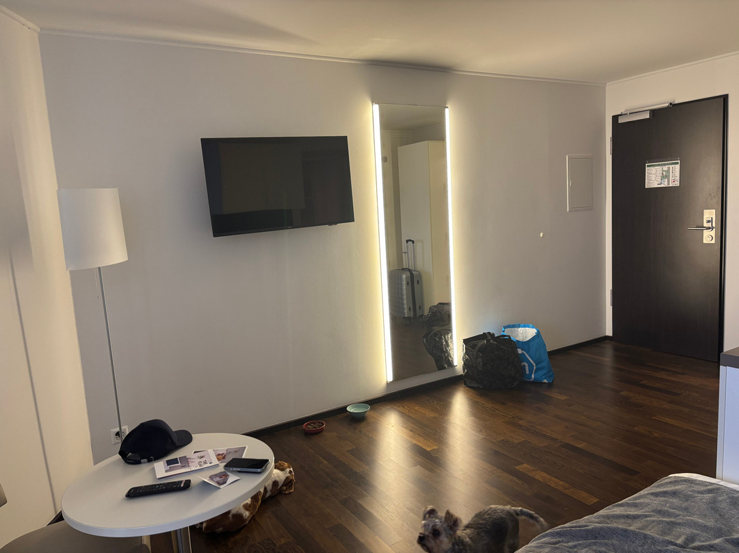 国旗苏黎世酒店主图