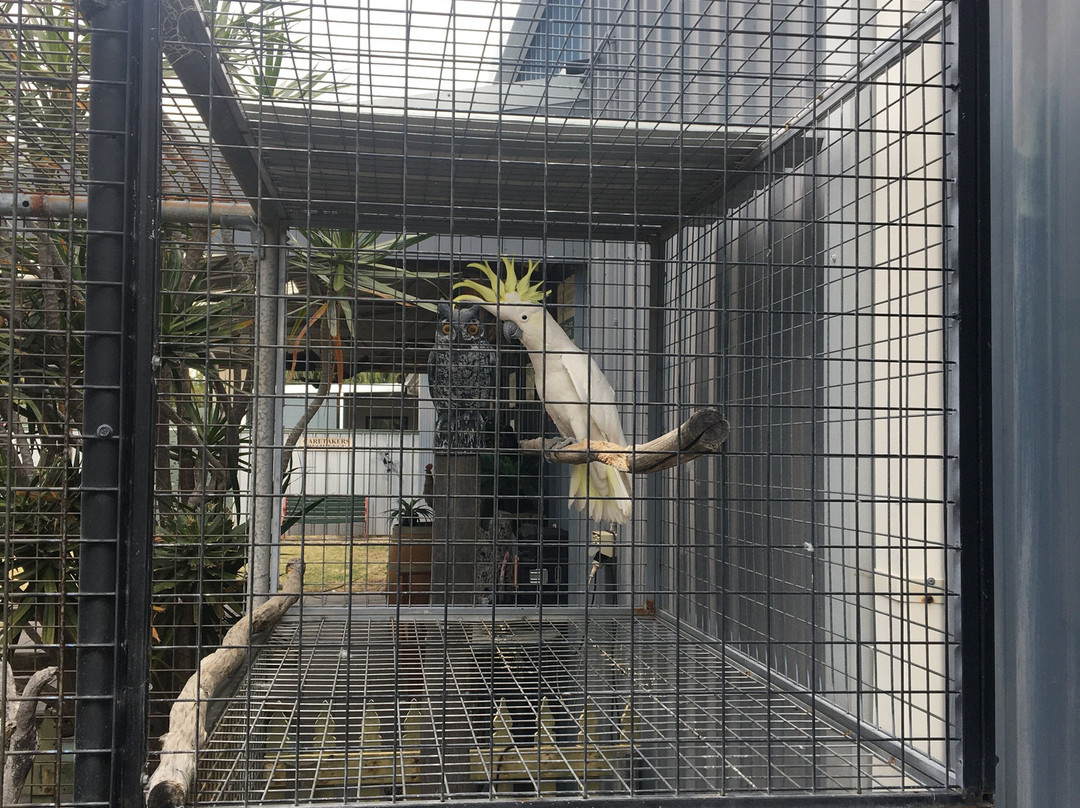 Featured Wood Gallery & Museum-Australind必去景点