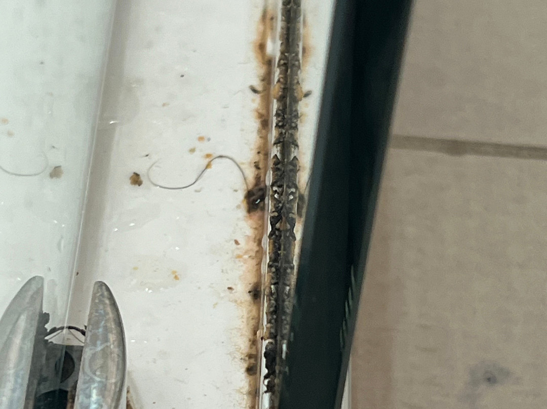 Holiday Inn Express & Suites Salem By IHG主图