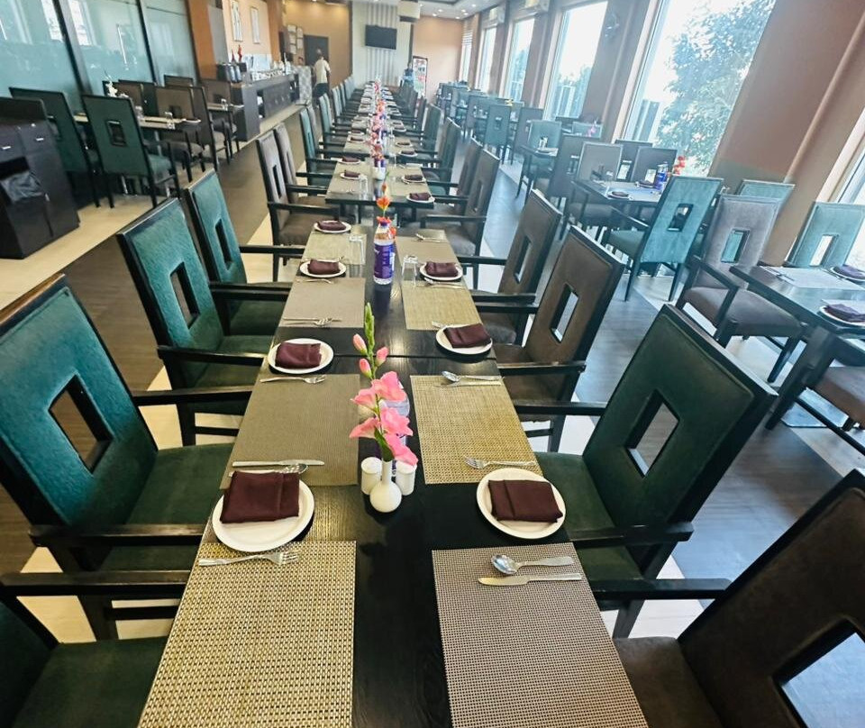 The Radiant Swan主图