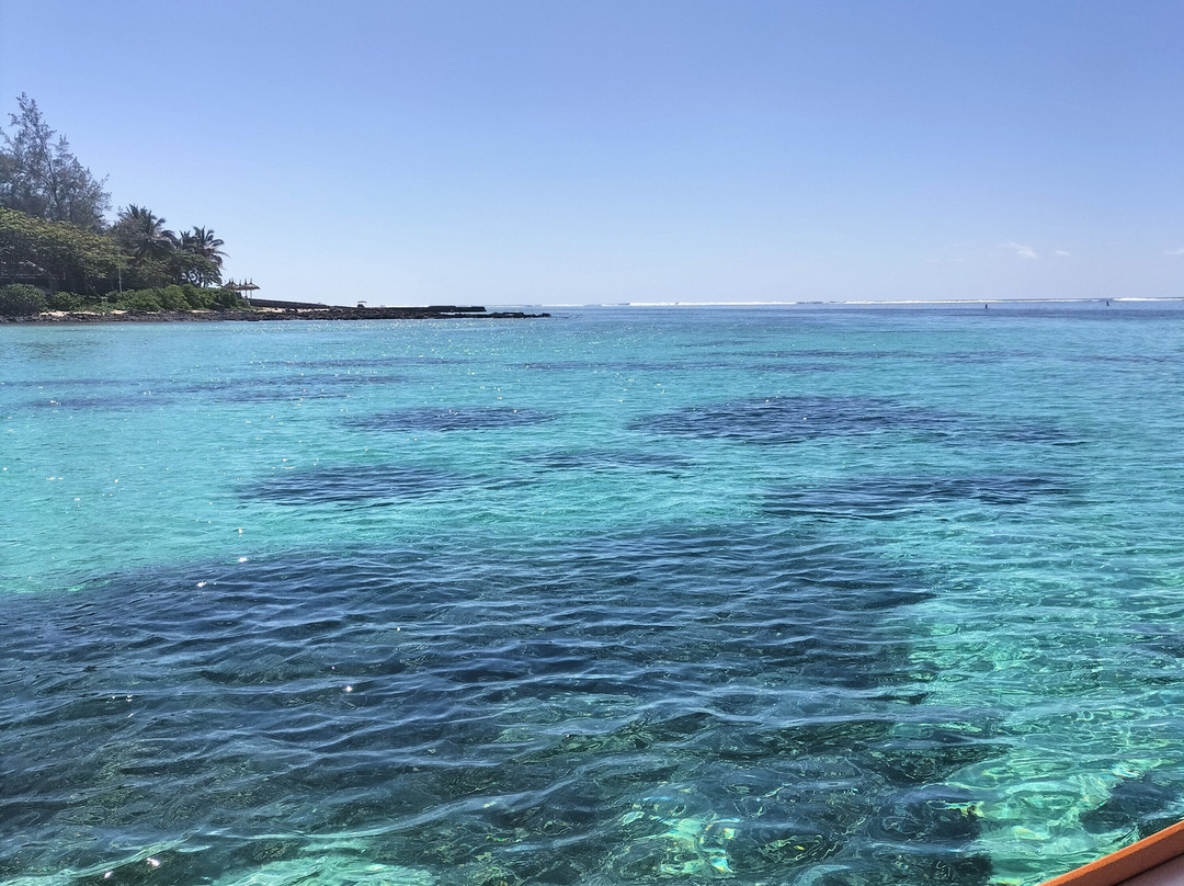 Calypso boat tours Mauritius-蓝湾必去景点