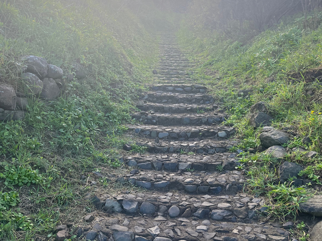 Madeira Wonder Hikes-沙尔必去景点