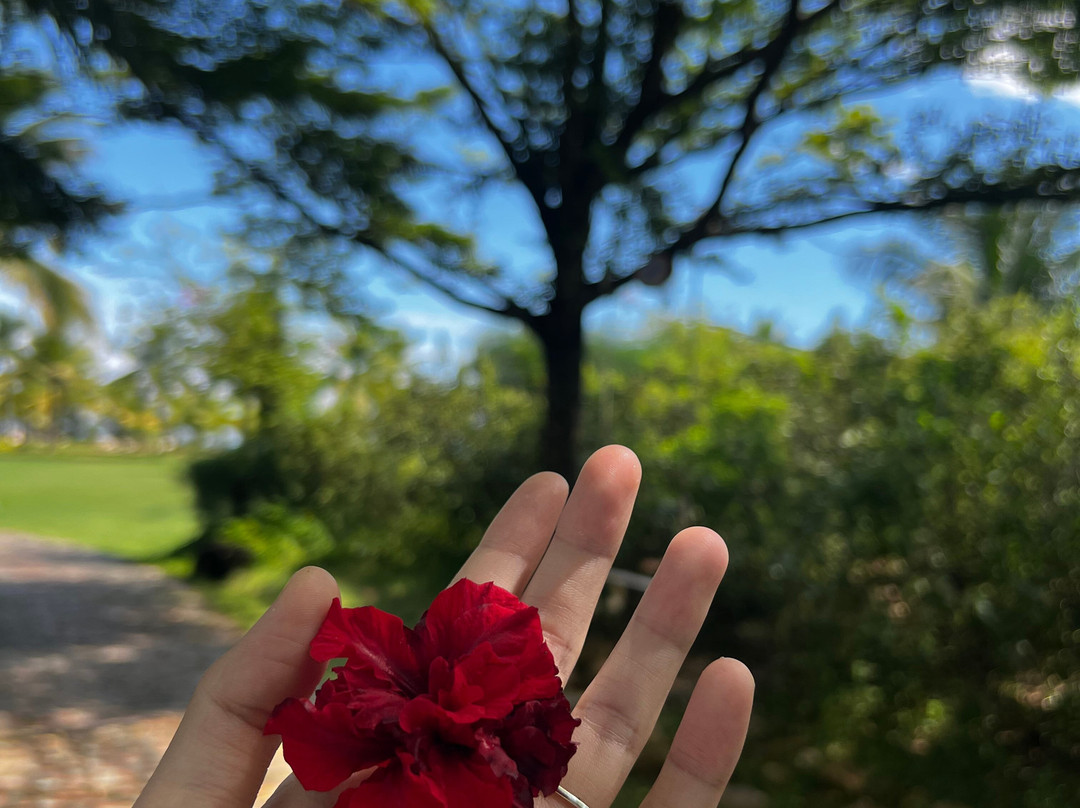 Celina Peninsula Resort主图