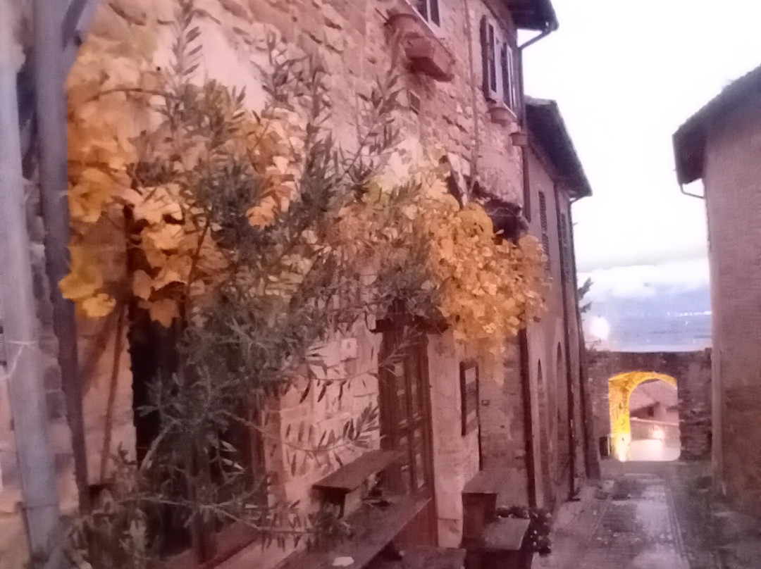 Oro Rosso Hotel主图