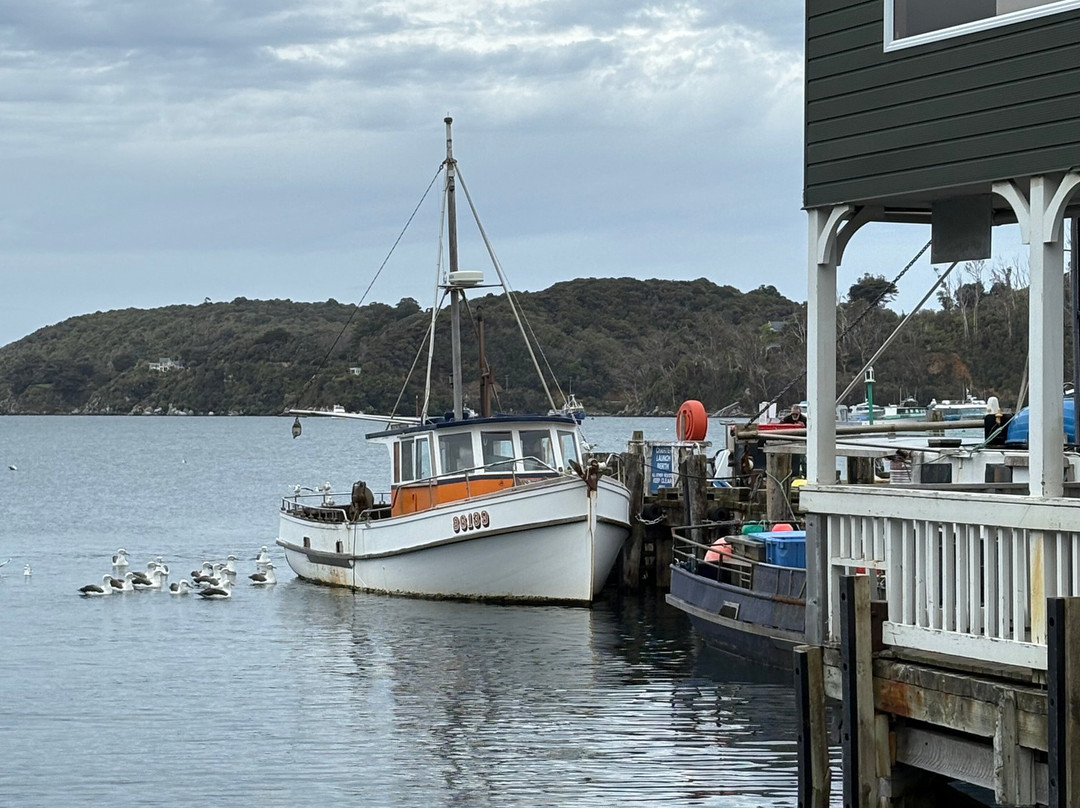 Tequila Fishing & Bird Watching Charters-Oban必去景点