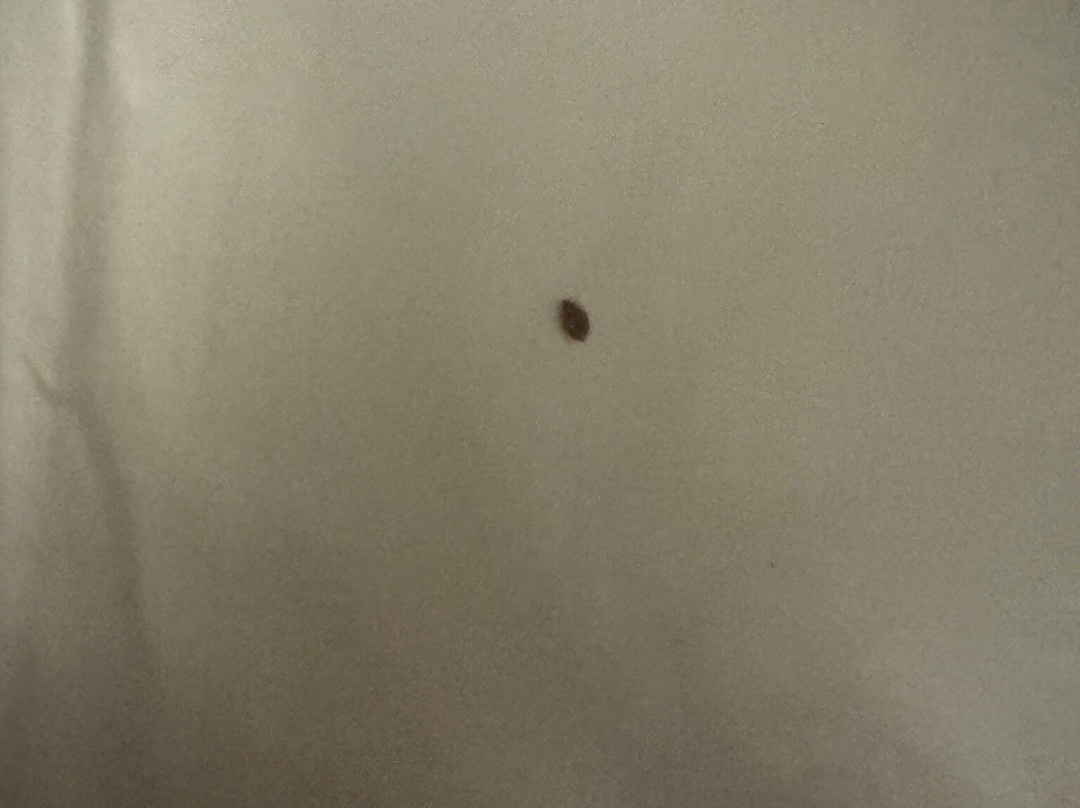 Best Western Fishers Indianapolis Area主图