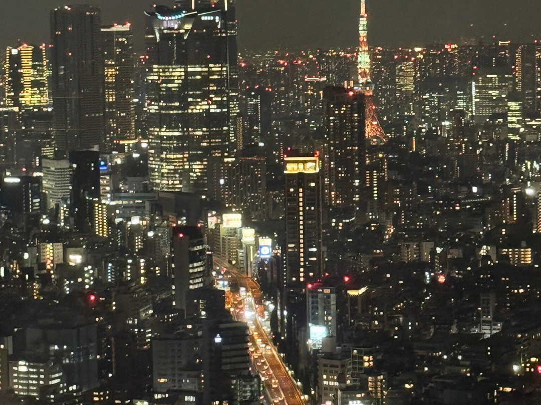Shibuya Sky-涩谷区必去景点