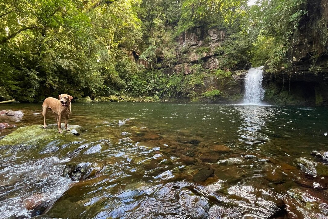 Poço das Andorinhas-Tres Cachoeiras必去景点