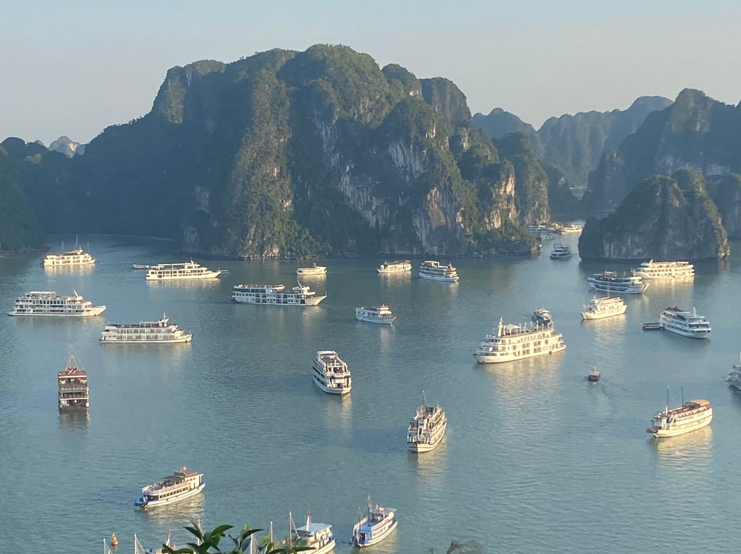 Aqua Elegance Cruise-团洲岛必去景点