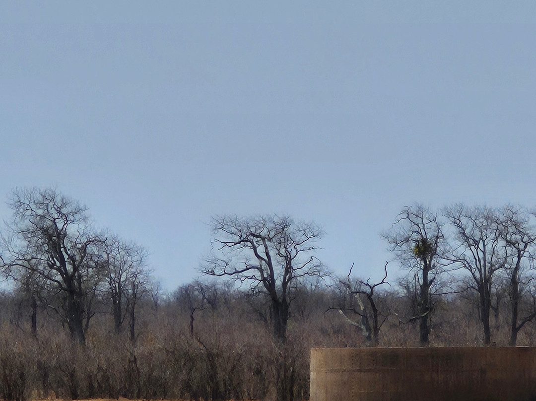 Bushbaby Adventures-伐拉博瓦必去景点