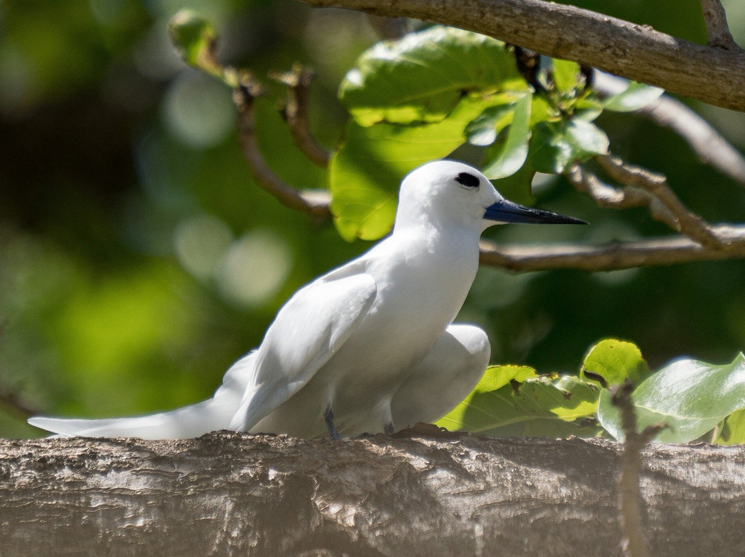 Angel Tours-Amitie必去景点