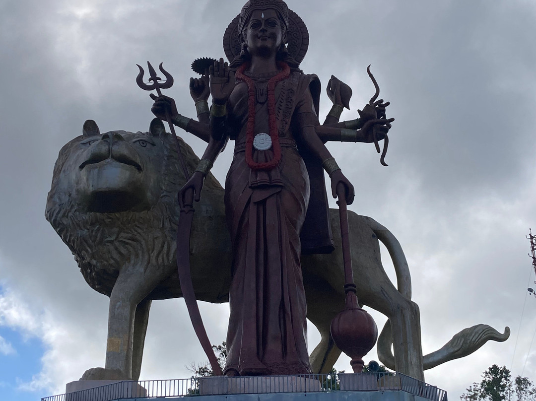 The Friendly Dodo-路易士港必去景点