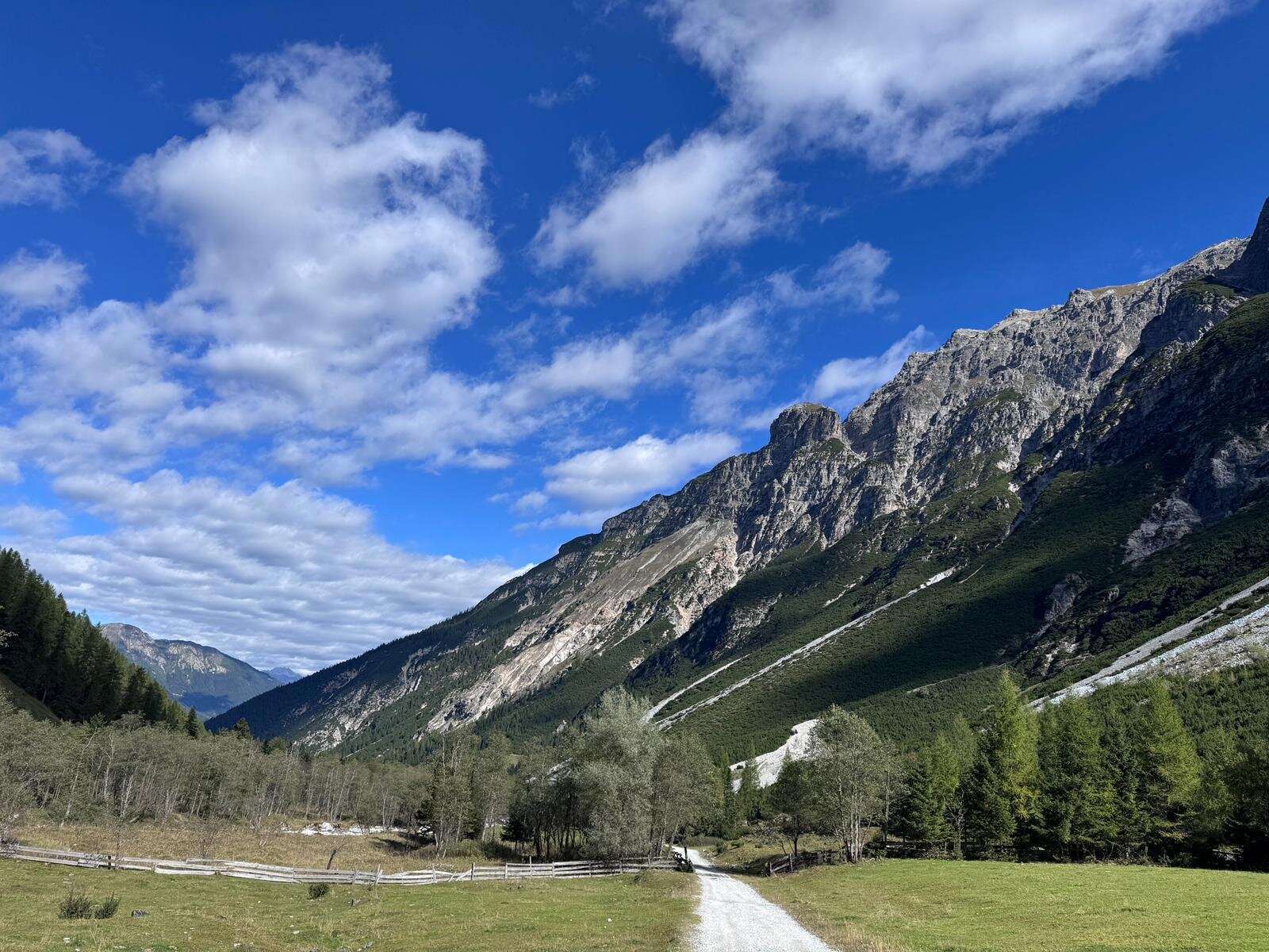 Vitalhotel Edelweiss-官方