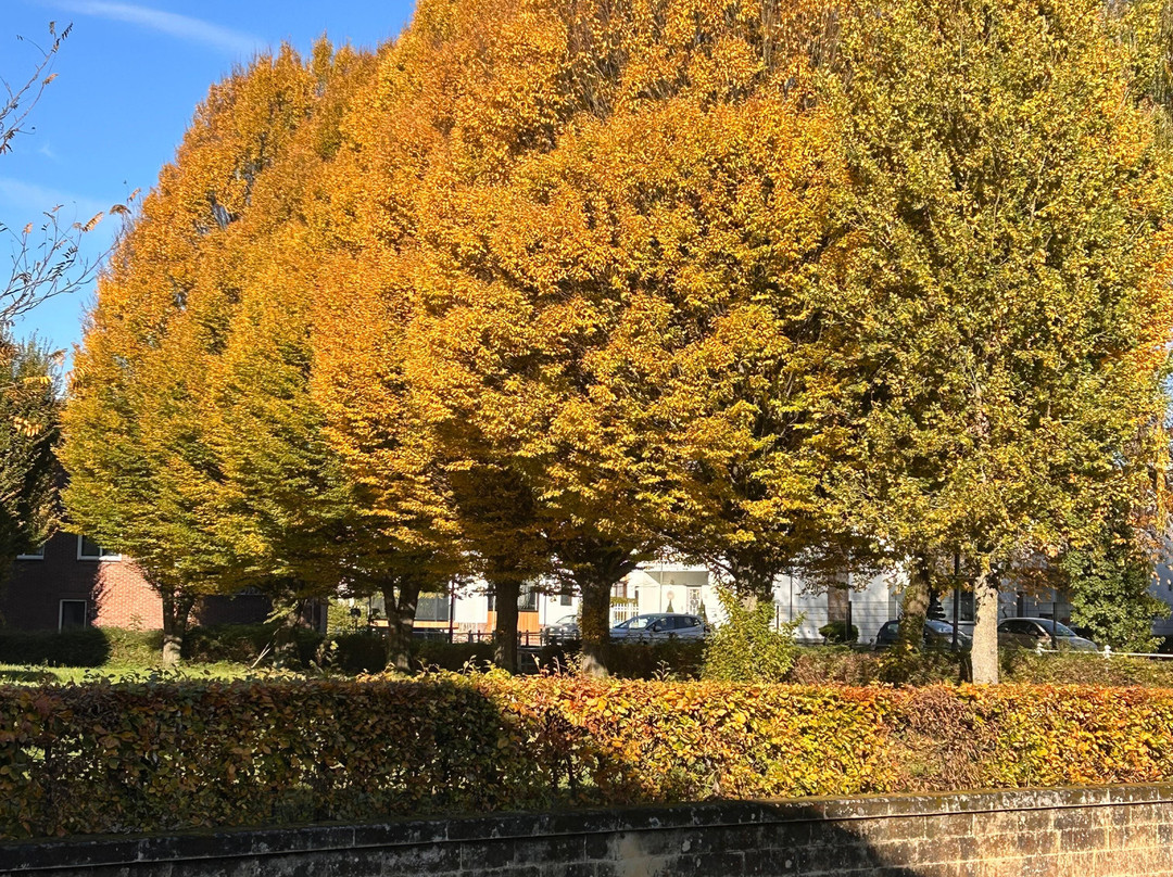 Winkelcentrum Viermeren-霍夫多普必去景点