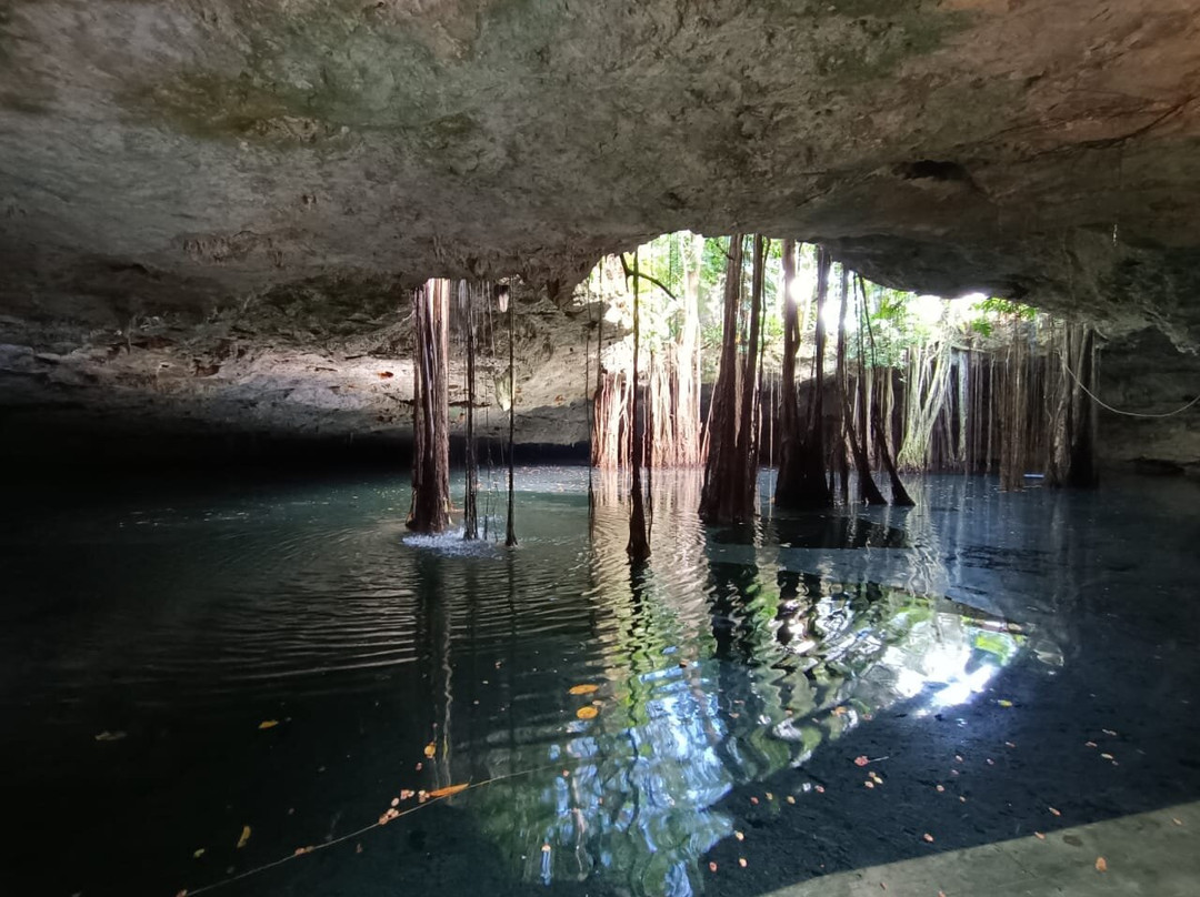 Cenote La Casa De Los Pájaros