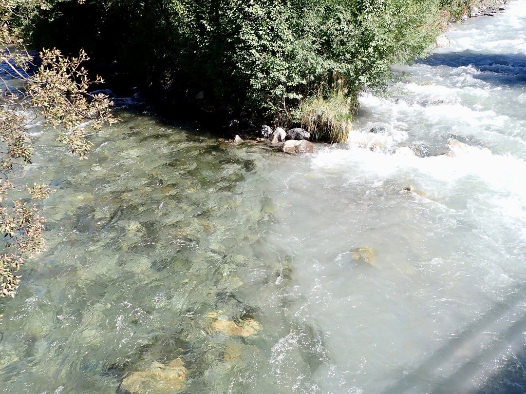 GWunderwald Heidboden Davos-达沃斯必去景点